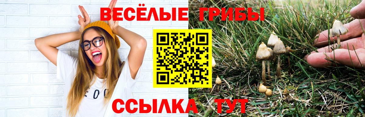 Галлюциногенные грибы ЛСД Карталы
